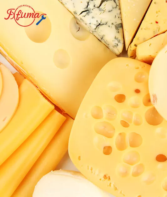 How to Choose Cheese Processing Machine How to Choose Cheese Processing Machine