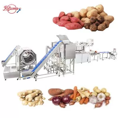 Automatic Potao Ginger Lotus Yam Process Solution - Washing,Peeling,Blanching,Cutting Automatic Potao Ginger Lotus Yam Process Solution - Washing,Peeling,Blanching,Cutting
