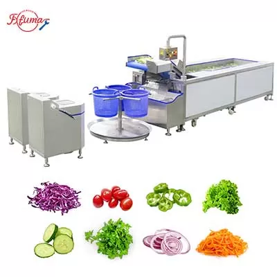 Leafy Greens Salad Lettuce Washing & Spin Dryer Line Leafy Greens Salad Lettuce Washing & Spin Dryer Line