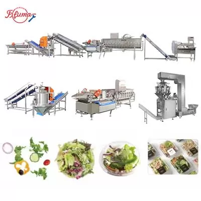 Fresh-Cut Salad Processing Line - Cutter, Washer, Centrifuge Fresh-Cut Salad Processing Line - Cutter, Washer, Centrifuge