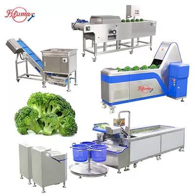 Cauliflower Broccoli Production Line - From Washing to Cutting Cauliflower Broccoli Production Line - From Washing to Cutting