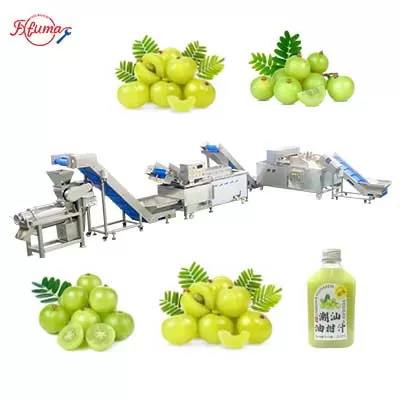 Small Scale Plum Emblica Gooseberry Juice Processing Line - Washing, Coring, Blanching, Juice Extraction Small Scale Plum Emblica Gooseberry Juice Processing Line - Washing, Coring, Blanching, Juice Extraction