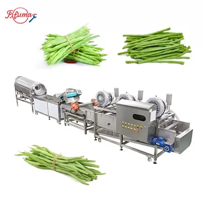 Fresh Green Beans Pre-Cutting and Pre-Cleaning Production Machine Fresh Green Beans Pre-Cutting and Pre-Cleaning Production Machine