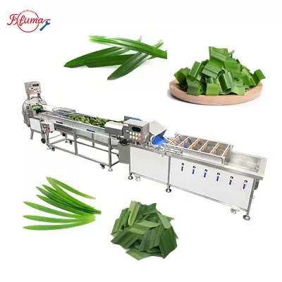 Pandan Leaf Sorting, Bubble Washing and Cutting Machine Pandan Leaf Sorting, Bubble Washing and Cutting Machine