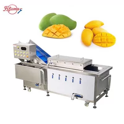 Food Grade Mango Hot Water Treatment Fruit Blanching Machine PT-1000 Food Grade Mango Hot Water Treatment Fruit Blanching Machine PT-1000