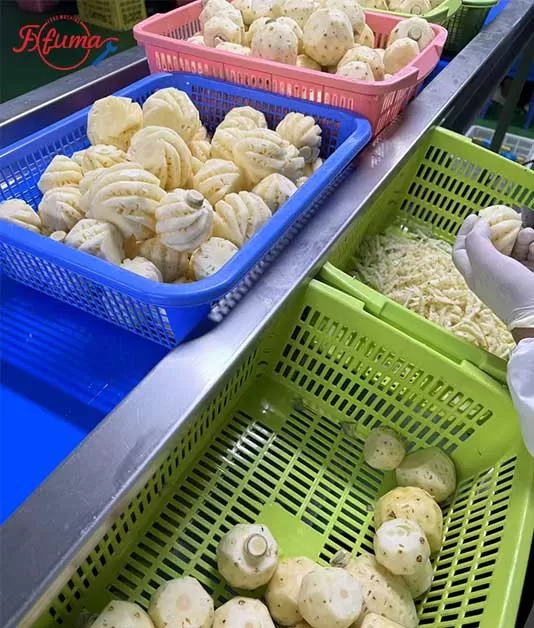 Thailand Fruit Processing Line Installation & After-Sales Service Case | Mini Pineapple, Jackfruit & Passion Fruit Lines Successfully Commissioned Thailand Fruit Processing Line Installation & After-Sales Service Case | Mini Pineapple, Jackfruit & Passion Fruit Lines Successfully Commissioned