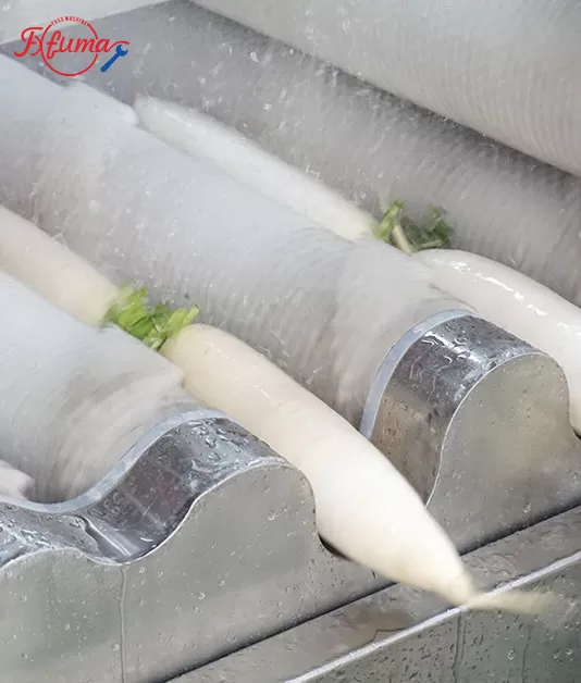 Root and Tuber Vegetable Processing Procedures | Complete Mechanical Processing Lines for Long and Round Root Vegetables Root and Tuber Vegetable Processing Procedures | Complete Mechanical Processing Lines for Long and Round Root Vegetables