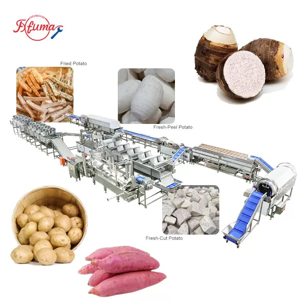 3-line-in-1 Taro Processing Line | Taro Washing Peeling Cutting Frying Freezing 3-line-in-1 Taro Processing Line | Taro Washing Peeling Cutting Frying Freezing