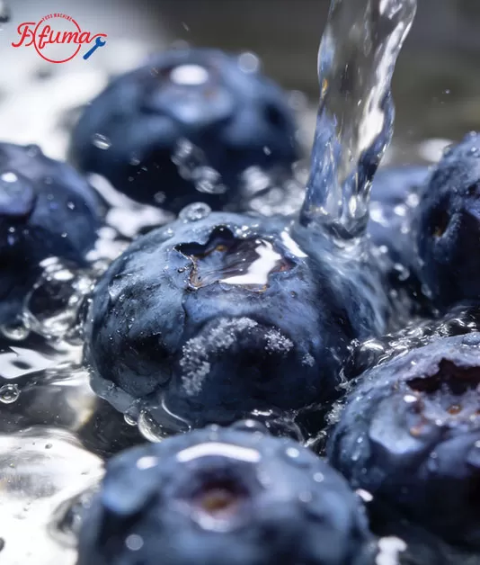 Efficient Berry Washing and Processing Line Efficient Berry Washing and Processing Line