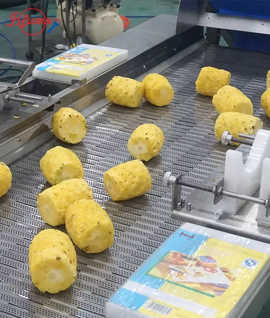 Pineapple Processing Line Solutions from China Supplier Pineapple Processing Line Solutions from China Supplier