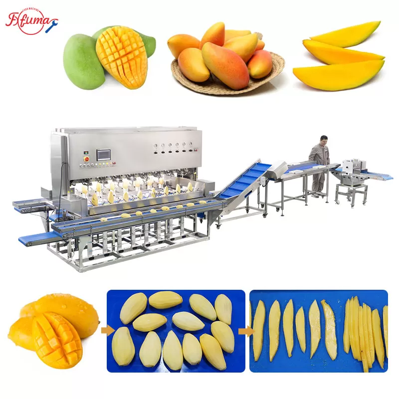 Bulk Mango Processing Line for Mango Slices Bulk Mango Processing Line for Mango Slices