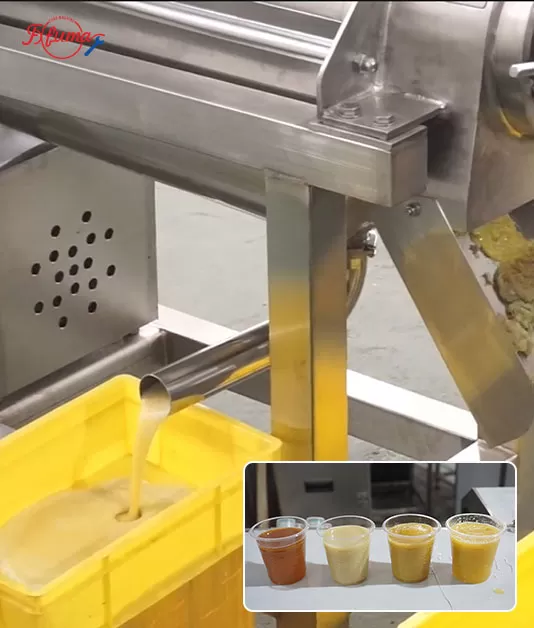 Complete Guide to Juice Processing Lines: How to Choose the Right Small & Medium Fruit & Vegetable Juice Line Complete Guide to Juice Processing Lines: How to Choose the Right Small & Medium Fruit & Vegetable Juice Line