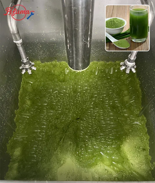 Complete Guide to Juice Processing Lines: How to Choose the Right Small & Medium Fruit & Vegetable Juice Line Complete Guide to Juice Processing Lines: How to Choose the Right Small & Medium Fruit & Vegetable Juice Line