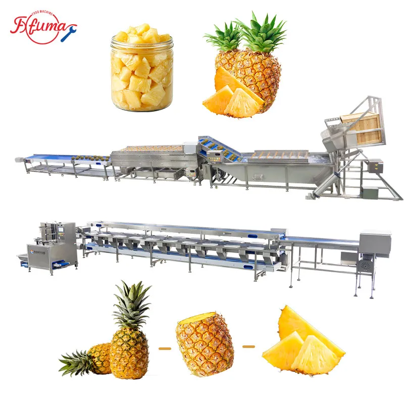 Pineapple Washing and Chunks Processing Machine 1-1.5t/h Pineapple Washing and Chunks Processing Machine 1-1.5t/h