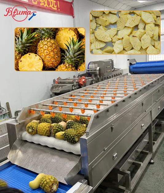 What are the Steps to Process Pineapple Chunks? What are the Steps to Process Pineapple Chunks?