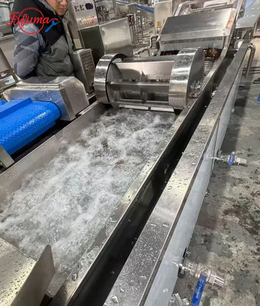 What is Industrial Food Washing Machines: Matching Machines to Your Produce What is Industrial Food Washing Machines: Matching Machines to Your Produce