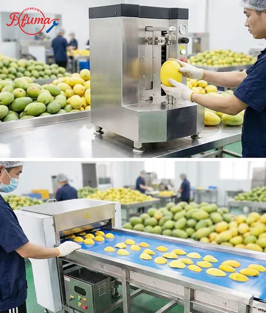 How to Build Your Mango Slicing Line: 8 Equipment Options for Flexible Customization How to Build Your Mango Slicing Line: 8 Equipment Options for Flexible Customization
