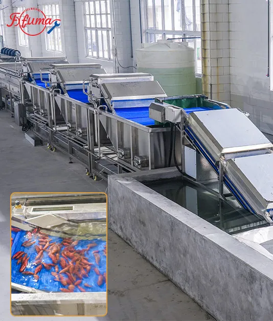 How to Choose the Right Fruit & Vegetable Washing Solution (With 5 Real Processing Examples) How to Choose the Right Fruit & Vegetable Washing Solution (With 5 Real Processing Examples)