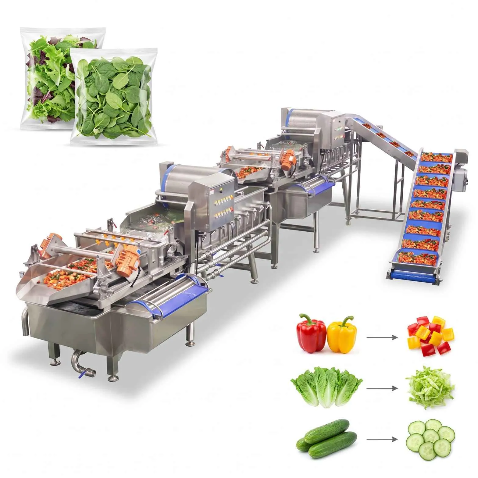 Ready-to-Cook Vegetable Processing Line 1-3 T/H Ready-to-Cook Vegetable Processing Line 1-3 T/H