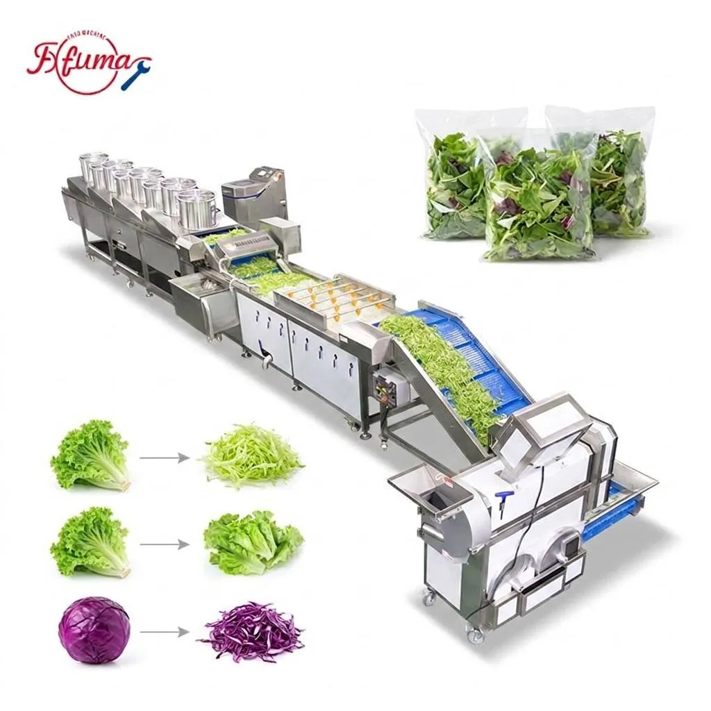 Ready-to-Eat Fresh Vegetable Process Line 800–1500kg/h Ready-to-Eat Fresh Vegetable Process Line 800–1500kg/h